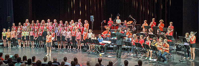 Musik Das Goethe Gymnasium Ludwigsburg